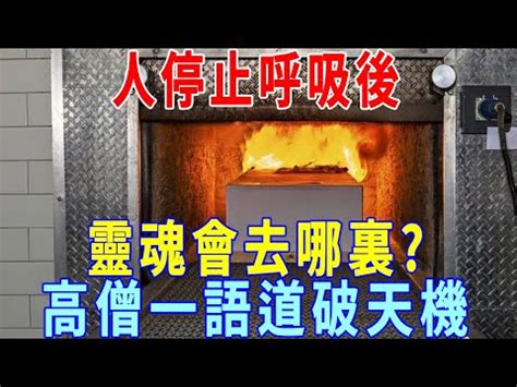 火化過程是否靈魂已跑走|火化時為什麼要大喊「火來了快跑」呢？ 